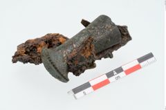 Foto von Bronzeortband (NHMW-PRAE-025696)